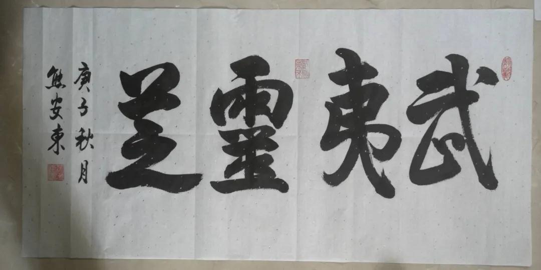 原福建省委常委、省军区司令员熊安东将军莅临元生泰厦门医药研发中心视察指导(图6)