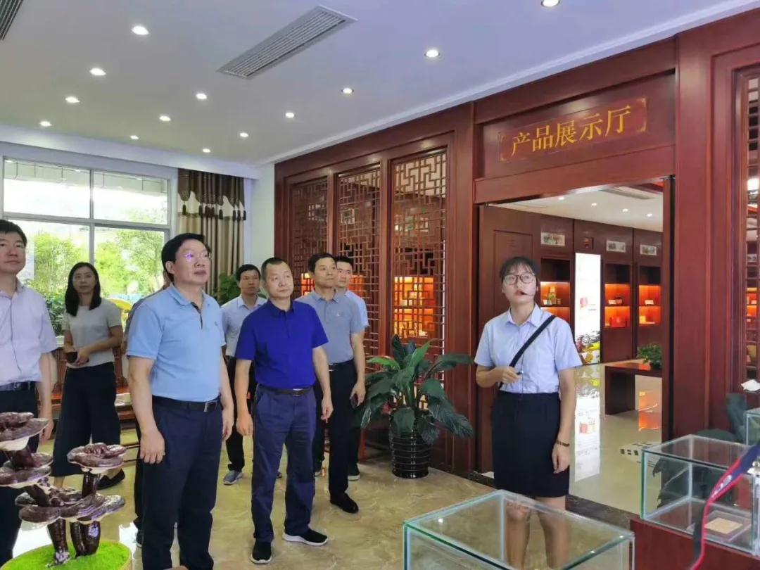 福建省人大常委会副主任檀云坤一行莅临元生泰视察指导(图3)