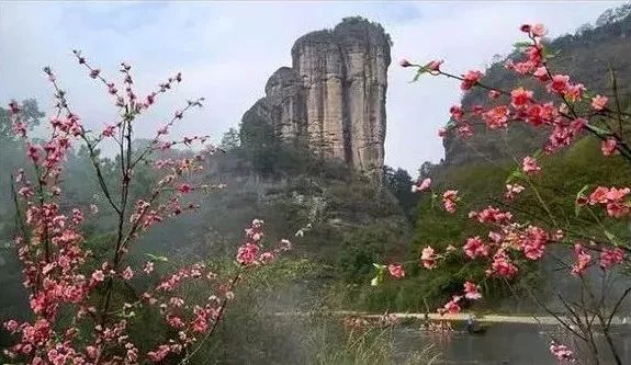 和你走过武夷山的春夏秋冬，看属于我们的风景(图3)