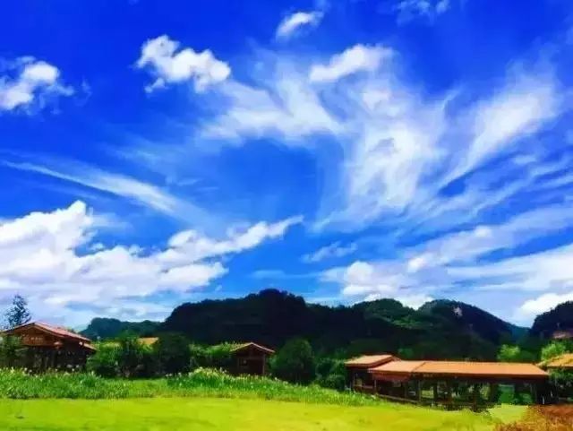 和你走过武夷山的春夏秋冬，看属于我们的风景(图6)