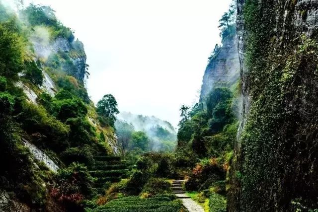 和你走过武夷山的春夏秋冬，看属于我们的风景(图12)
