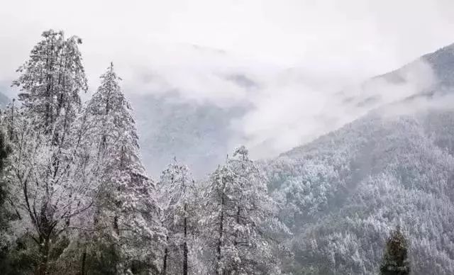 和你走过武夷山的春夏秋冬，看属于我们的风景(图14)