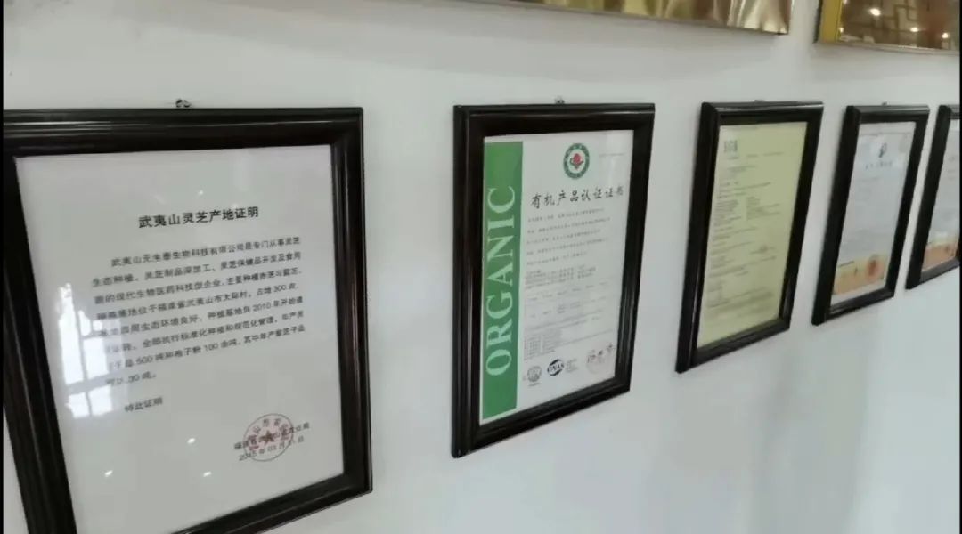 第四届“武夷养生文化旅游节”暨“灵芝文化节”万人直播盛大开幕！(图4)