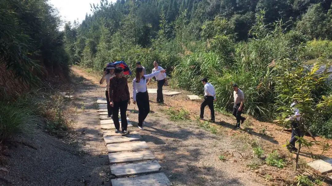 福建省人大常委会党组副书记、副主任雷春美等一行莅临元生泰基地视察指导(图1)