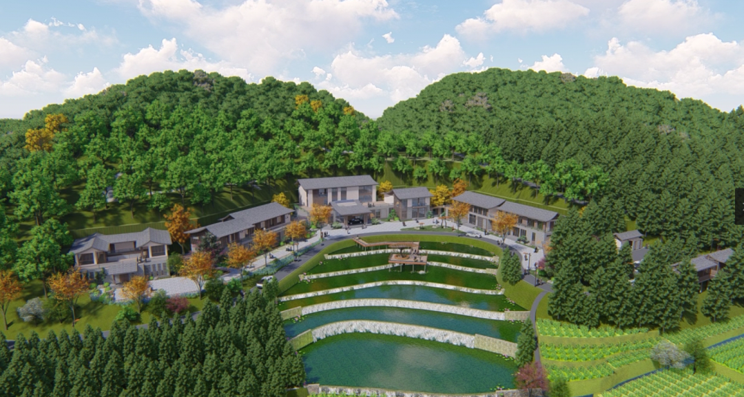 值彭祖诞辰，第六届武夷养生文化旅游节隆重开幕，迎全国嘉宾一同漫游武夷，共话养生盛事！(图14)