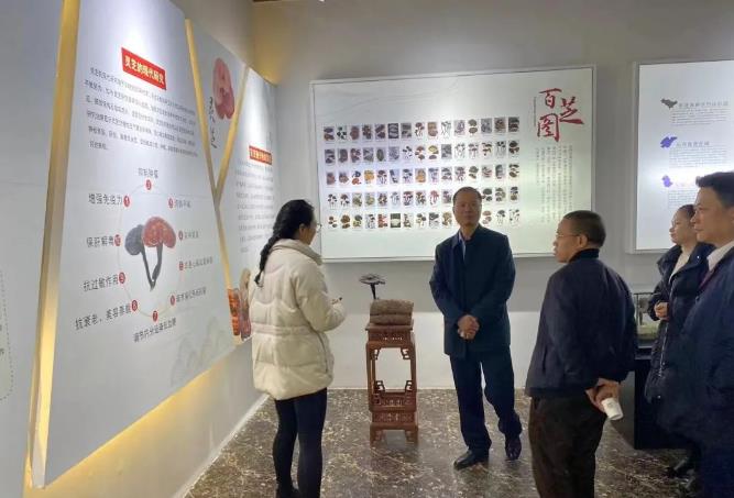 泉州东亮企业董事长张文亮一行莅临元生泰参观调研(图2)