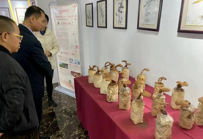 泉州东亮企业董事长张文亮一行莅临元生泰参观调研(图3)