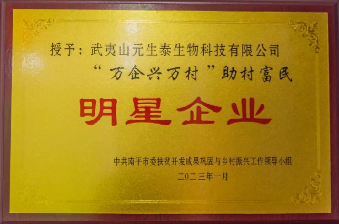 回首2023，步履铿锵!展望2024，元生泰凝心聚力加油干!(图3)