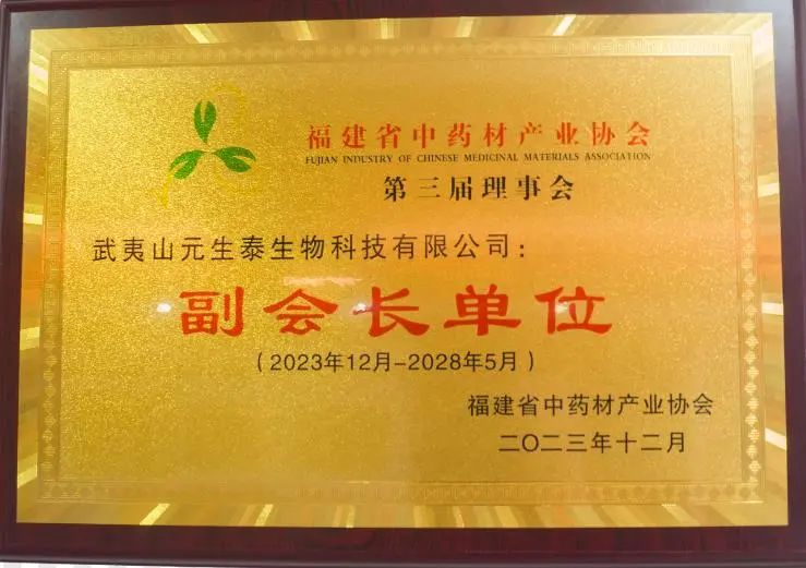 回首2023，步履铿锵!展望2024，元生泰凝心聚力加油干!(图4)