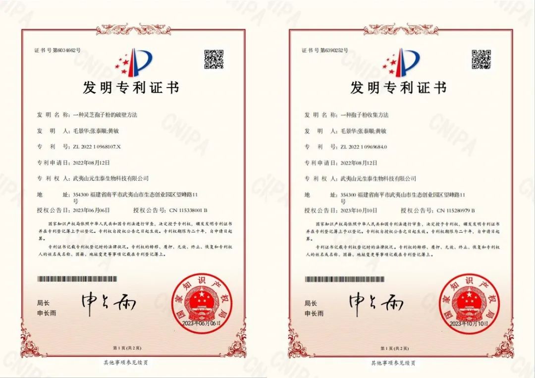 回首2023，步履铿锵!展望2024，元生泰凝心聚力加油干!(图8)