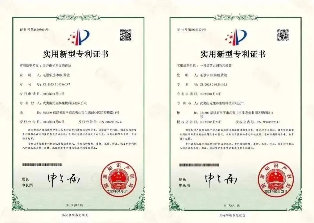 回首2023，步履铿锵!展望2024，元生泰凝心聚力加油干!(图9)