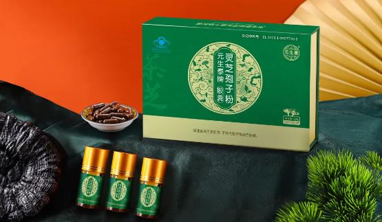 灵芝新篇章：茶树灵芝，自然之力赋予的健康密码！(图3)