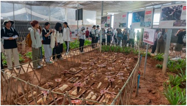 从实验室到大自然：厦大药学院师生武夷山采药研学之行圆满结束(图4)